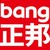 ZhengBang Brand Identity & Consultant logo