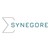 SYNEGORE logo