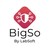 BigSo By LabSoft logo