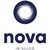 Nova In Silico logo