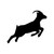 Kaldis Coffee Roasting Company logo