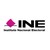 Instituo Nacional Electoral INE logo