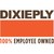 Dixie Plywood & Lumber Company logo