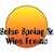 Solar Spring & Wire Forms logo