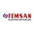 Femsan Electric Motors Logo