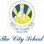 The City School Official logo