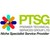 Premier Technical Services Group Ltd (PTSG) logo