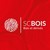 SC Bois | Saint Chamonaise Des Bois logo