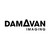 DAMAVAN IMAGING logo