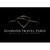 Diamond Travel Paris logo