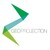 GEO-Projection logo