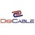 Digicable Network India Pvt Ltd logo