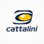 Cattalini Terminais Marítimos logo