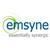 Emsyne logo