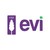 Evi van Lanschot logo