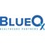 Blue Ox Healthcare Partners logo