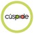 Cúspide logo