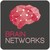 Brain Networks logo