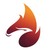 Feenix Venture Partners, LLC logo