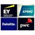 Big 4 Consultancy Firm logo