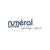 Numéral Groupe logo