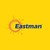Eastman Auto & Power Limited logo