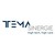 Tema Sinergie Logo