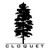 Cloquet Capital Partners, LLC logo