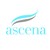 ascena logo