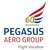 PEGASUS AERO GROUP logo