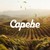 Logo de Capebe - Cooperativa Agropecuária de Boa Esperança