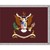 US Army Medical Department (AMEDD) logo