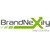 BrandNexity Commerce Group, Inc. D2C eCommerce Consulting logo