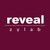 reveal – zylab logo