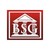 BSG Solutions Group, LLC logo