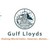 GULF LLOYDS INDIA LIMITED logo