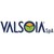 Valsoia S.p.a. logo