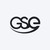 GSE Gestión de Seguridad Electrónica S.A. logo