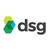 Logo di DSG, Inc.