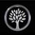 Tendercapital Ltd logo