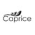 Caprice Groupe logo