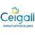 CEIGALL INDIA LIMITED logo