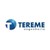 TEREME Engenharia logo
