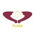 Plada Infotech Services Ltd. logo