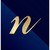 Nipponflex logo