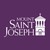 Mount Saint Joseph High School logo