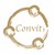 Convit International GmbH logo