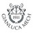 Gianluca Mech S.p.A. logo