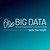 Big Data Management Services logo
