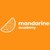 Mandarine Academy logo